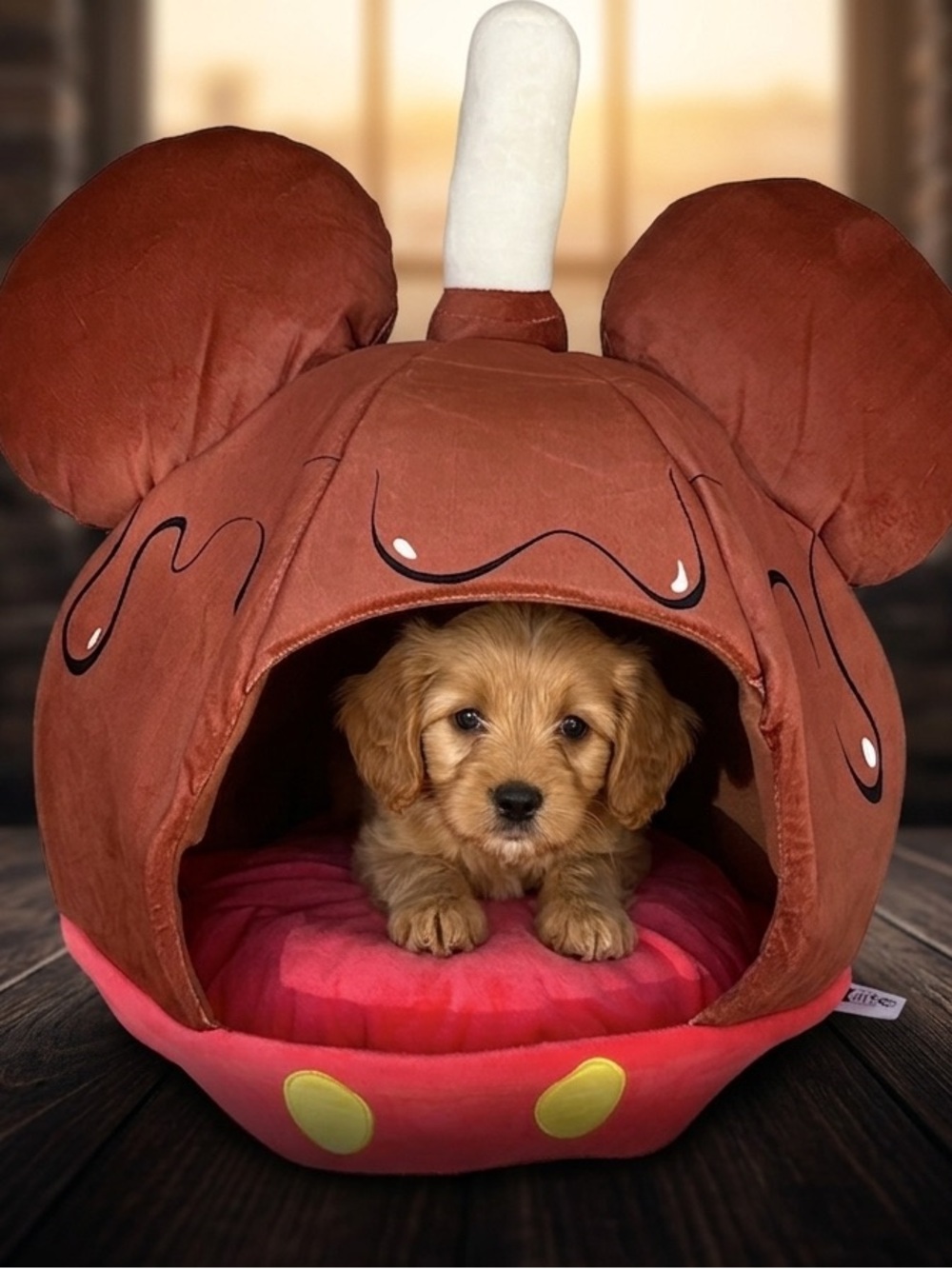 Disney Mickey Treat Plush Pet Bed